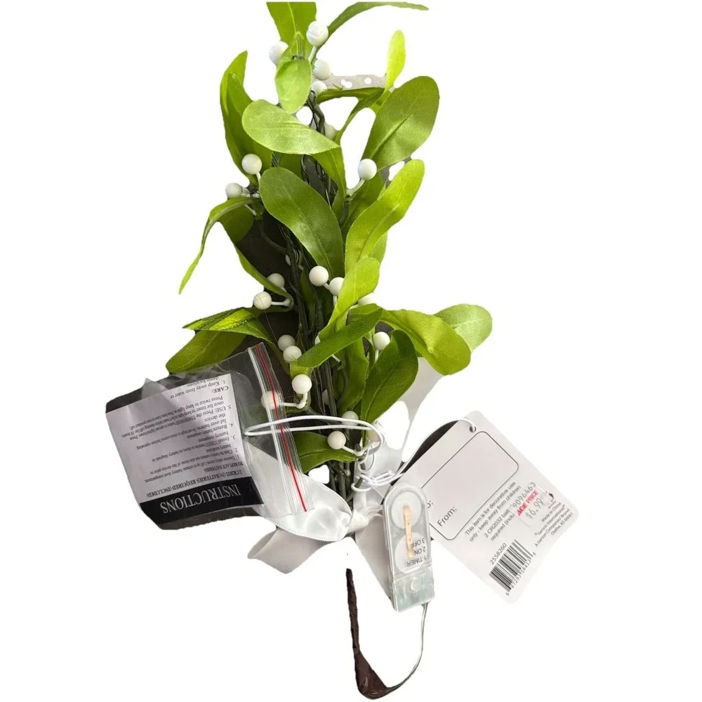 Gerson 12 in. Mistletoe Branch with Warm White LED Lights Hanger - Pa...